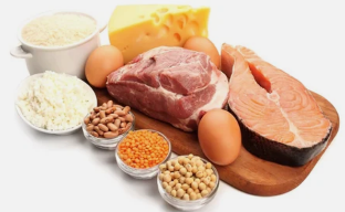 keuntungan dari diet protein